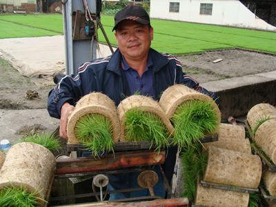 稻米產銷第二班