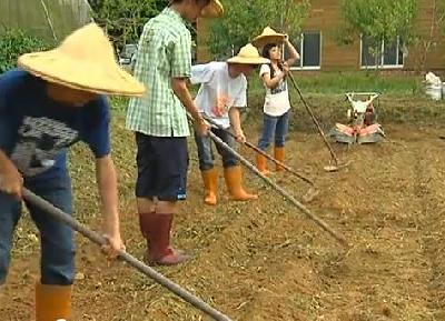 自然和有機農法耕耘，農業新兵《投機取勝》！